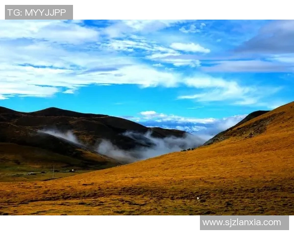 崔永熙的艺术之路与人生哲学探讨：从初心到巅峰的心灵旅程